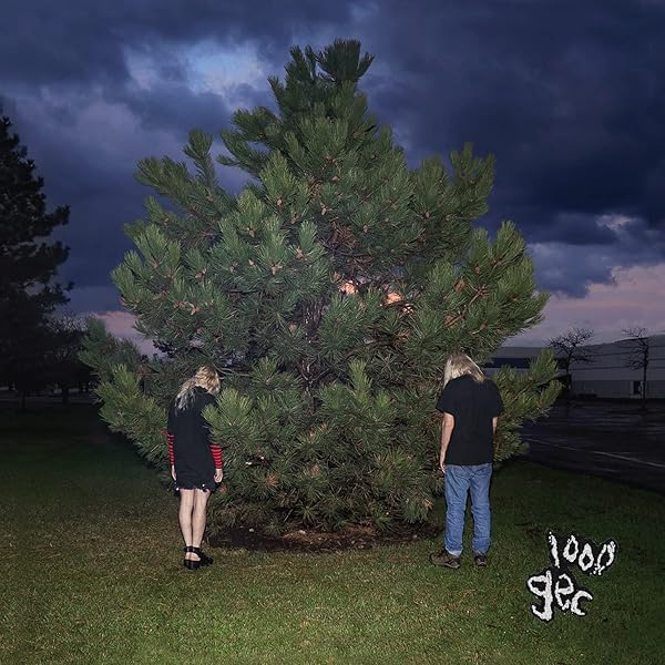 100 gecs - 10,000 gecs - Amazon.com Music